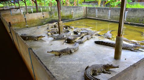 singapore crocodile farm history.